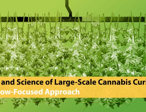 The Art and Science of Large-Scale Cannabis Curing: An Airflow-Focused Approach