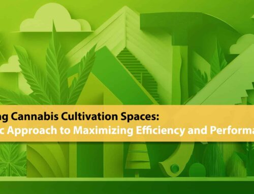 Retrofitting Cannabis Cultivation Spaces: A Strategic Approach to Maximizing Efficiency and Performance